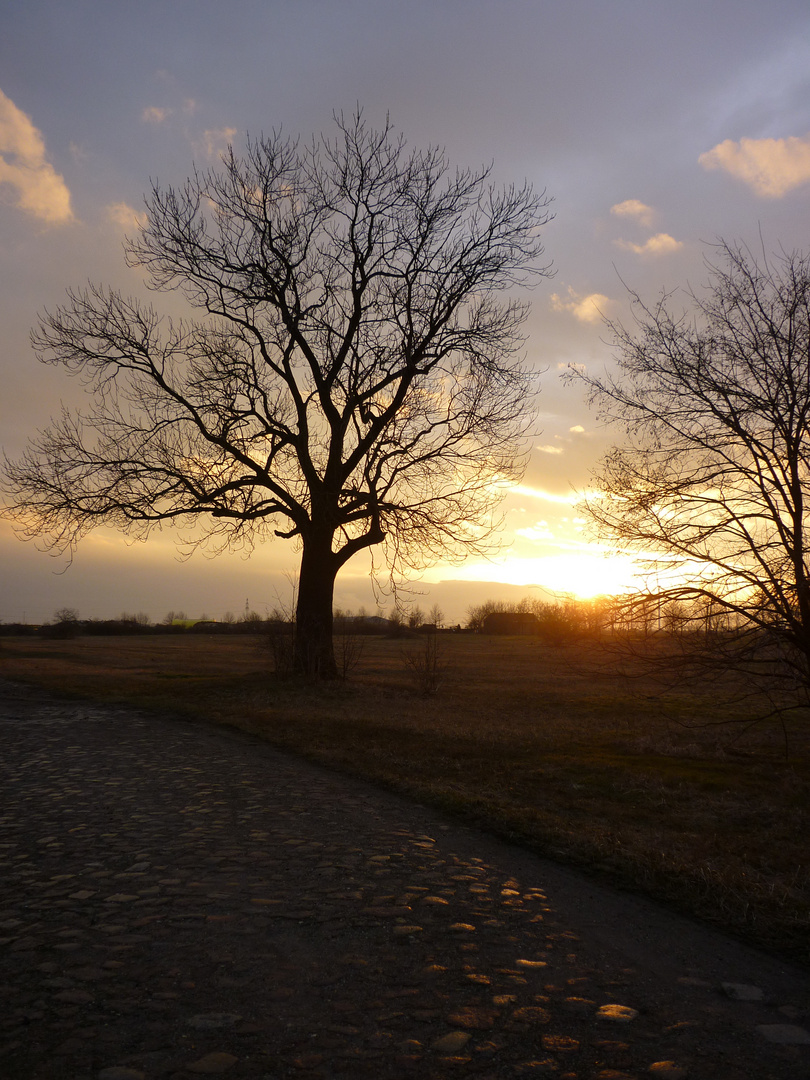 Mitten im Nirgendwo