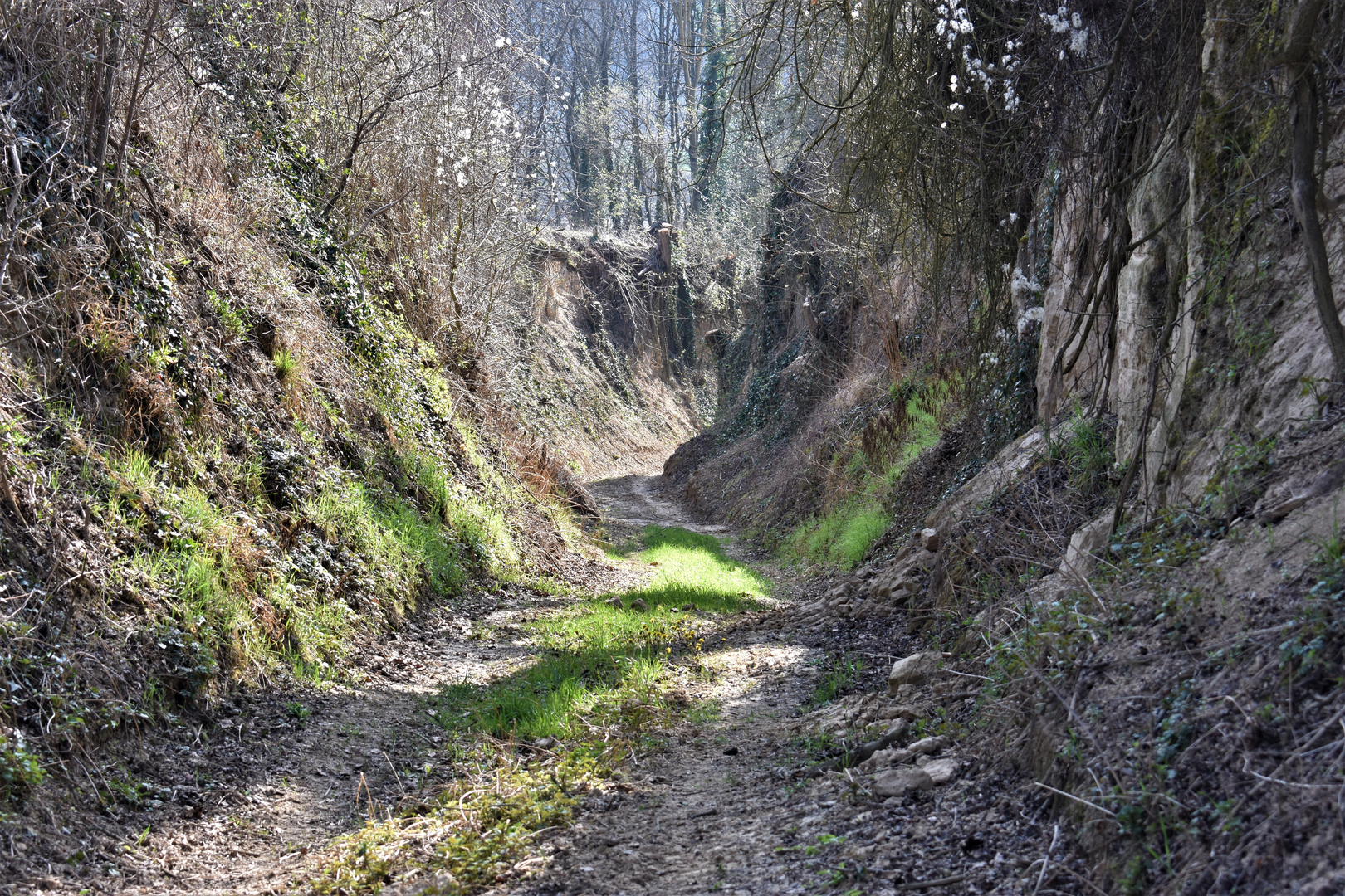 Mitten im Nirgendwo - Hohlweg