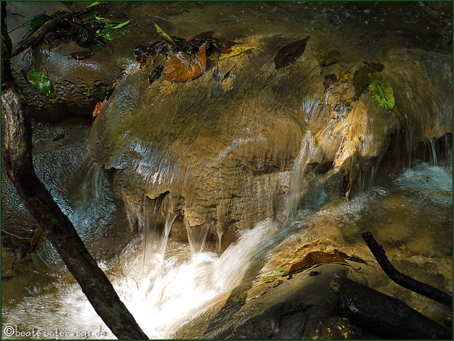 Mitten im Regenwald #2