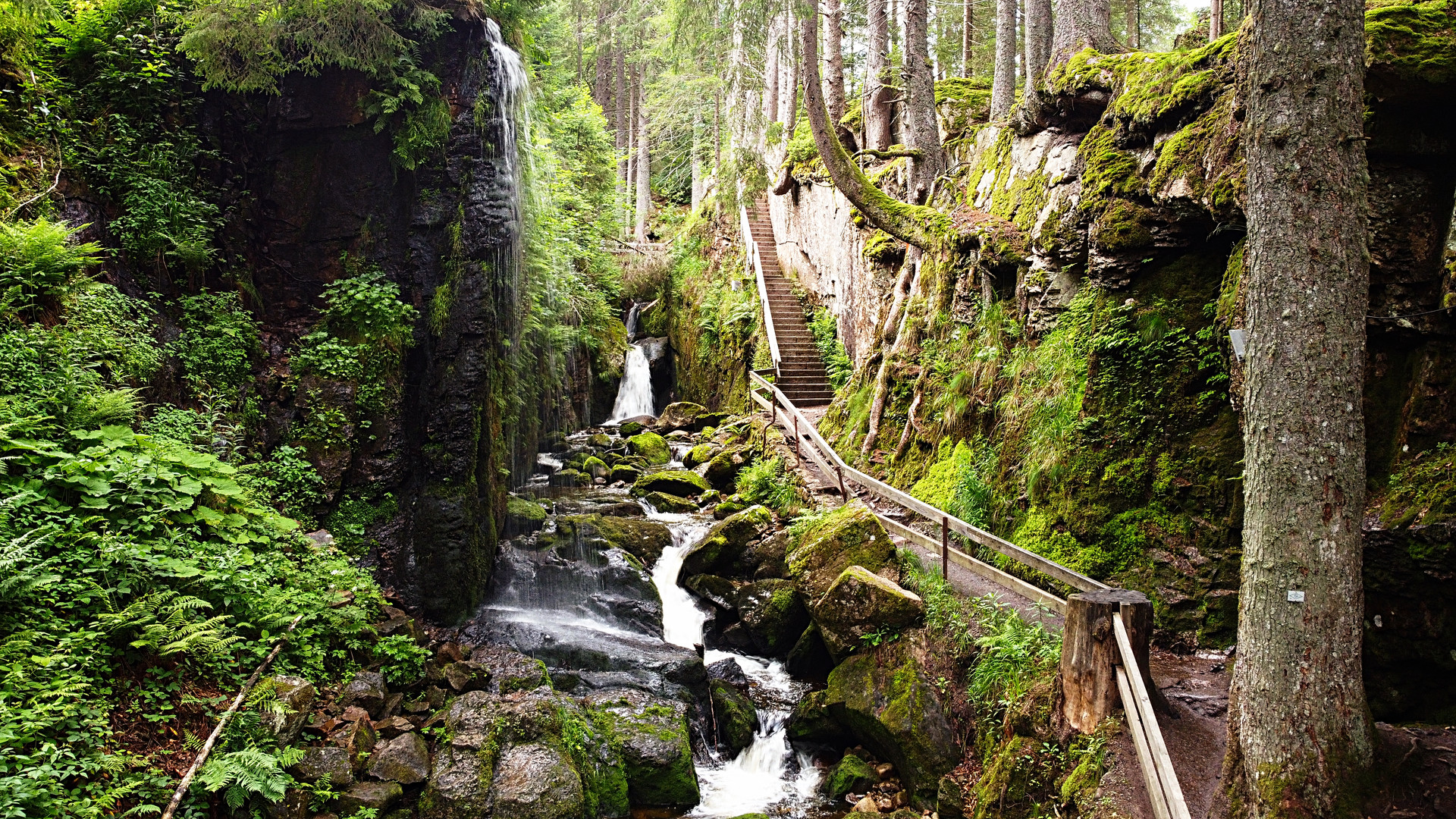 Mitten im Schwarzwald