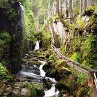 Mitten im Schwarzwald