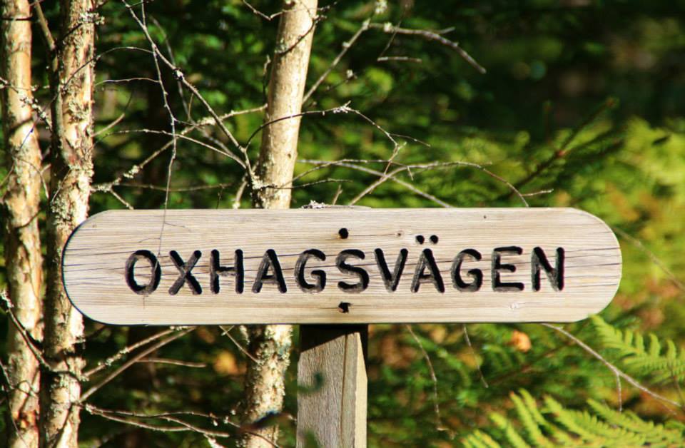 mitten im schwedischen Wald steht dieses Schild :o))