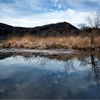 Mitten im tiefen Winter