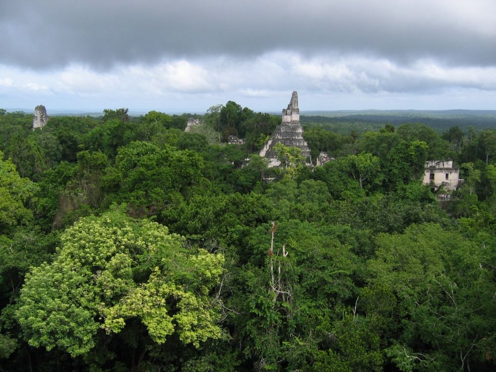 Mitten im Urwald - Tikal