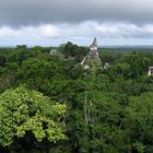 Mitten im Urwald - Tikal