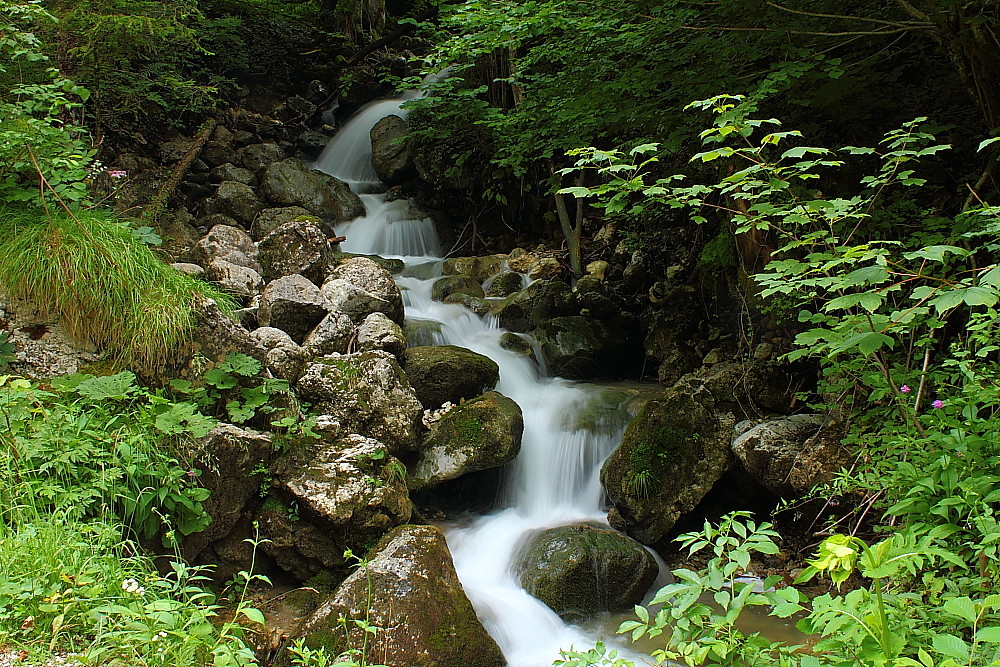 Mitten im Wald......