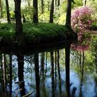 ~  mitten im Wald  ~