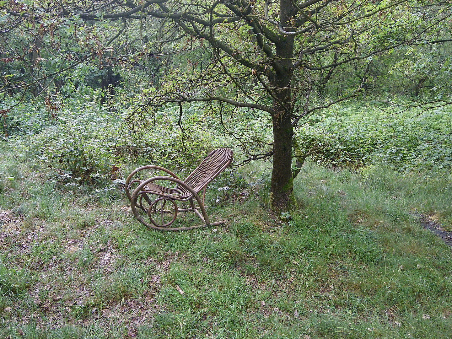 Mitten Im Wald