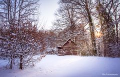 mitten im Wald