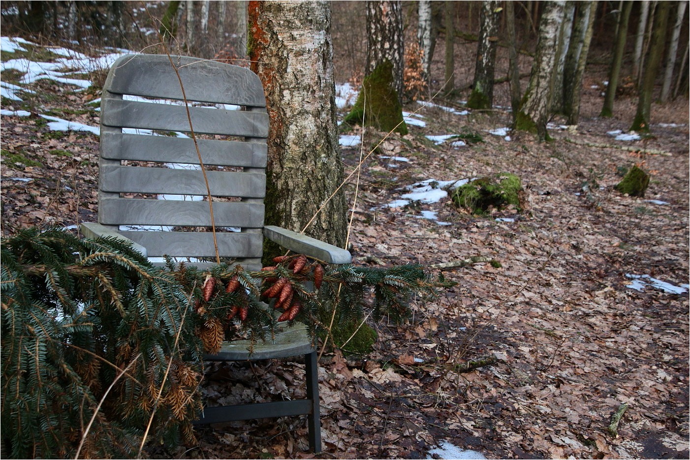 Mitten im Wald