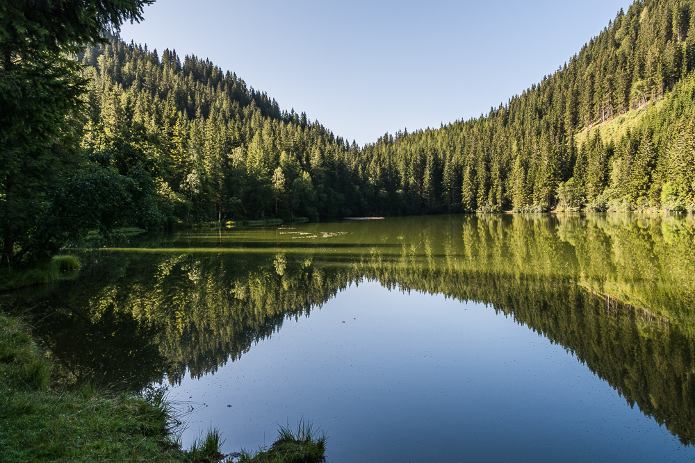 Mitten im Wald