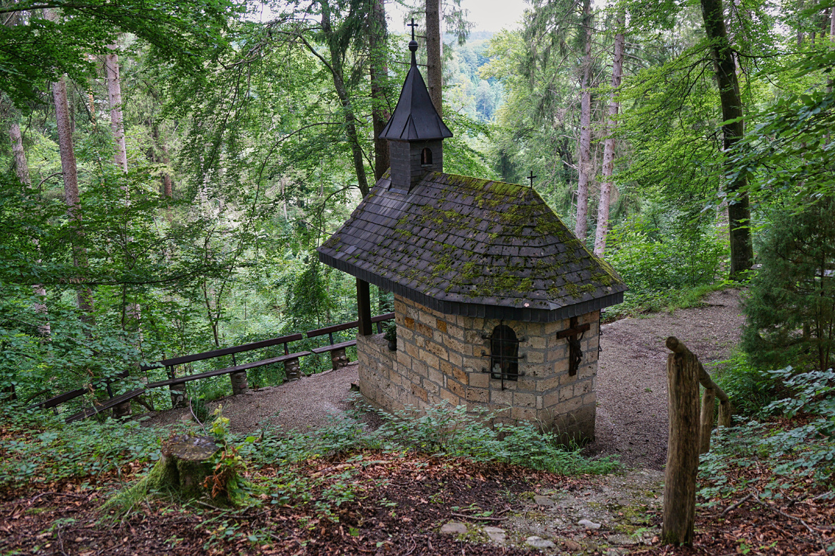 Mitten im Wald