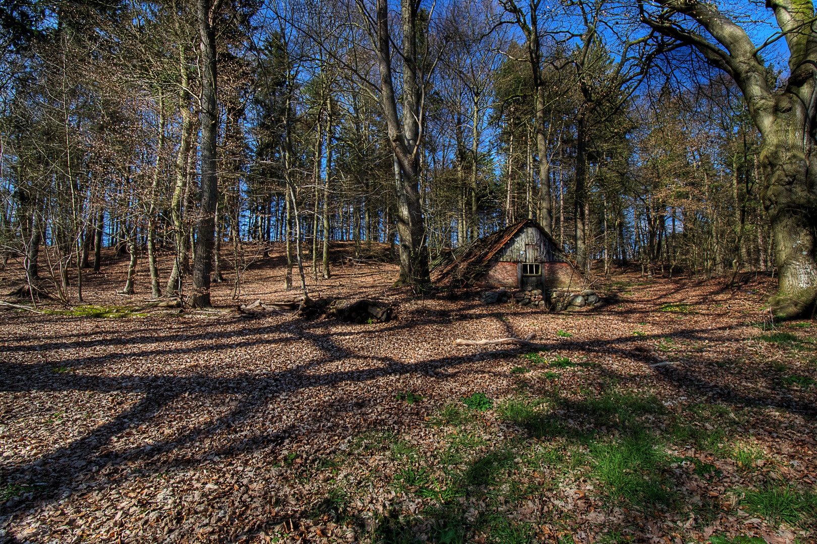 Mitten im Wald...