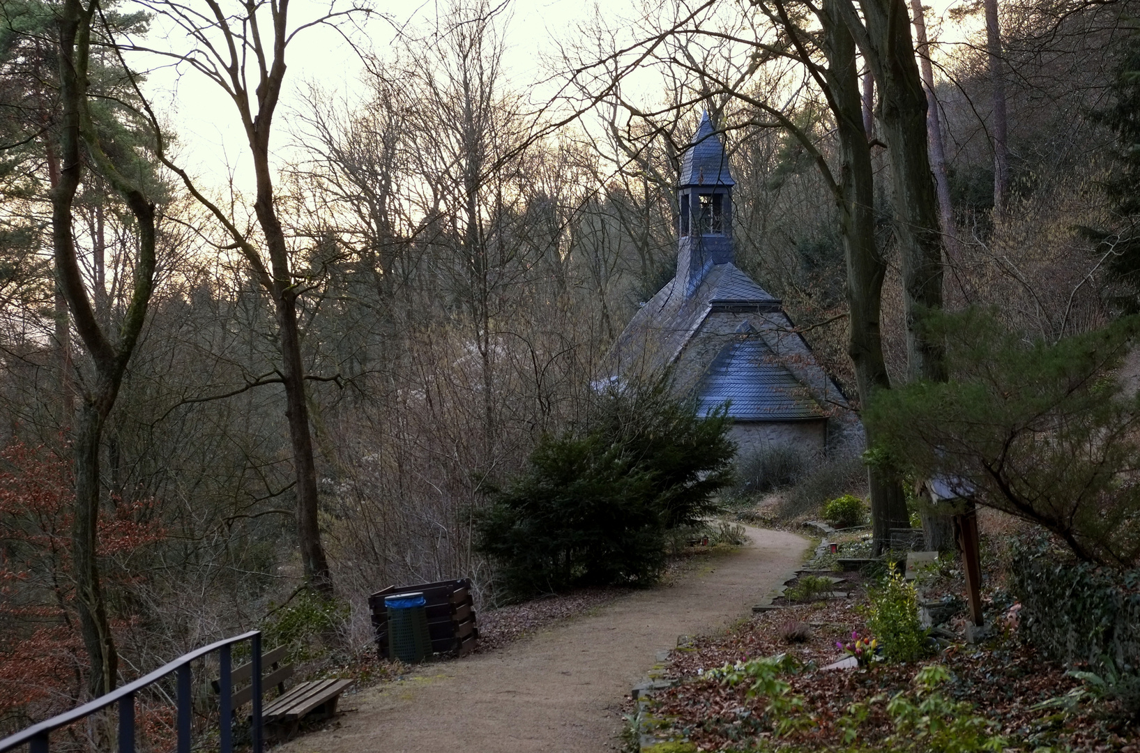 mitten im Wald