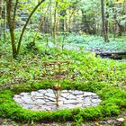 Mitten im Wald - das Pendel.