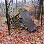 Mitten im Wald - der Fäulnis überlassen