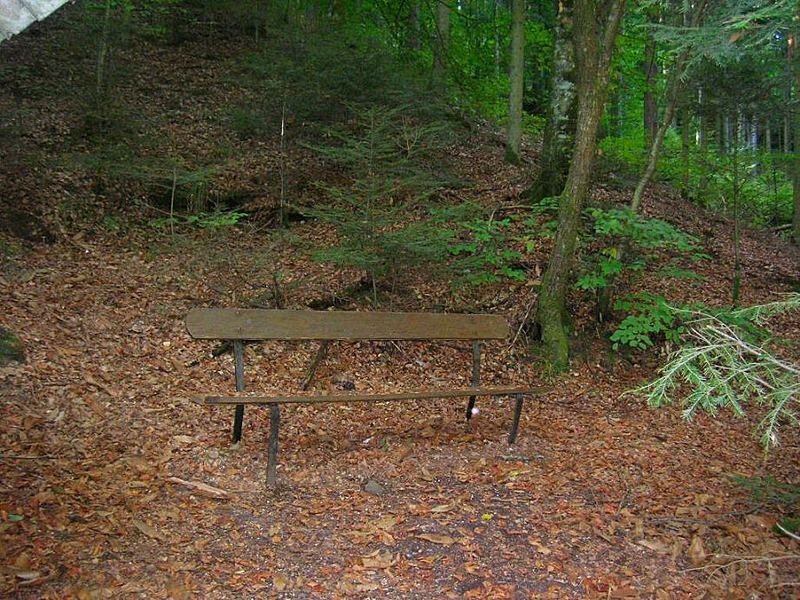 Mitten im Wald einen Ruheplatz