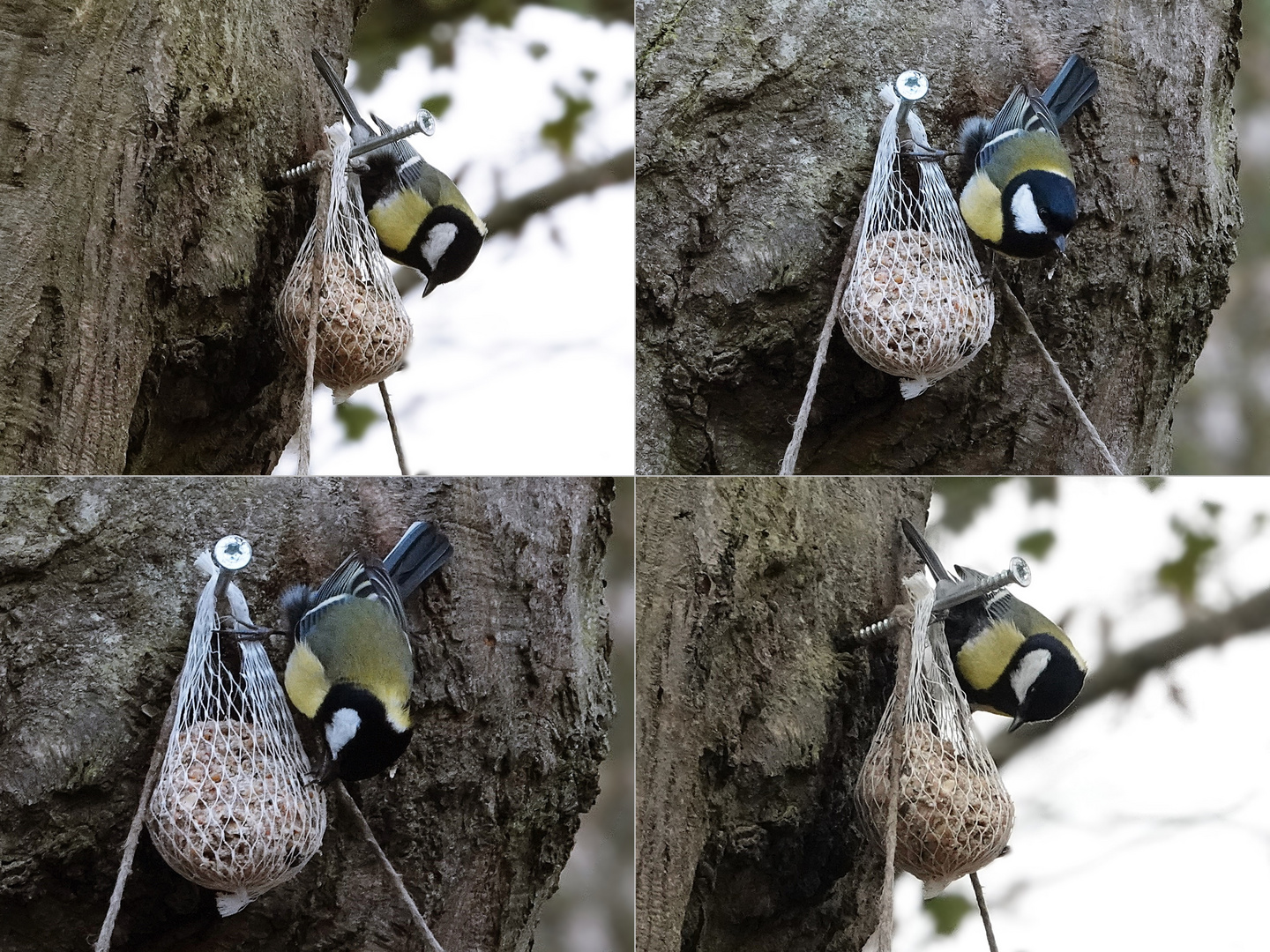 mitten im Wald gibt es etwas für uns