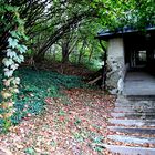 mitten im Wald - ohne ersichtlichen Zweck