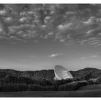 Mitten im Wald - Reloaded