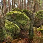 Mitten im Wald - Riesenspielzeug!