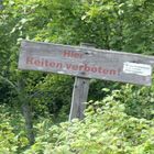 MITTEN im Wald - wir können es nicht lassen