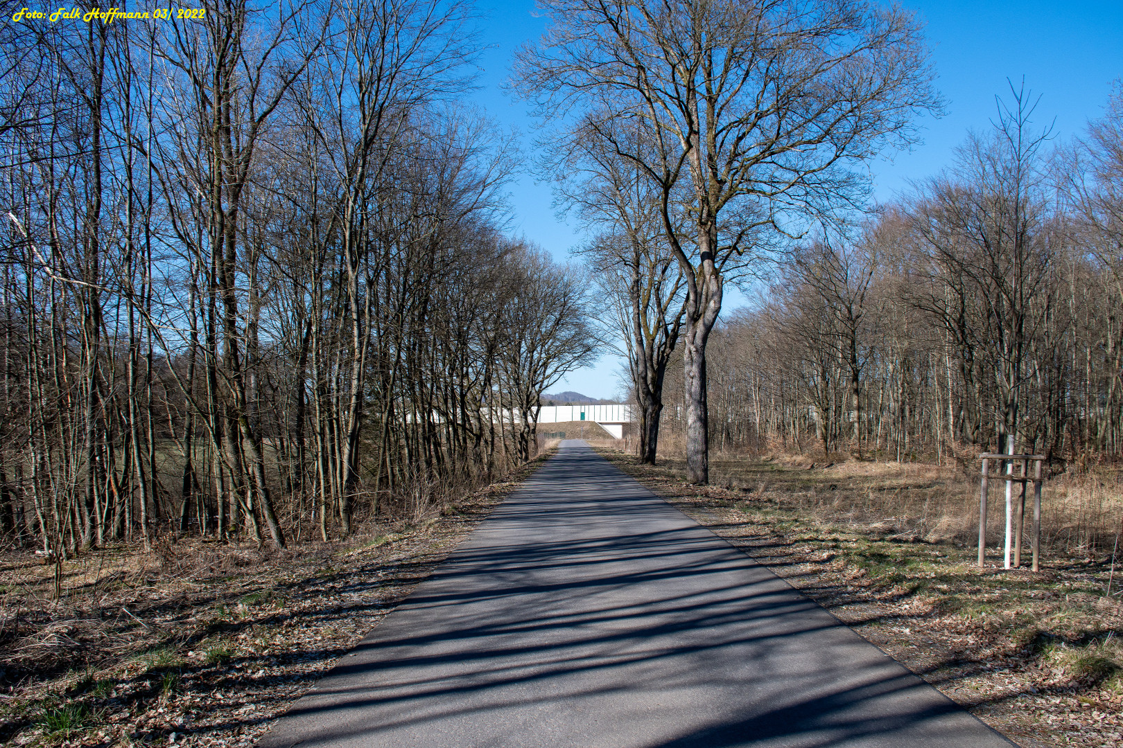 Mitten im Walde