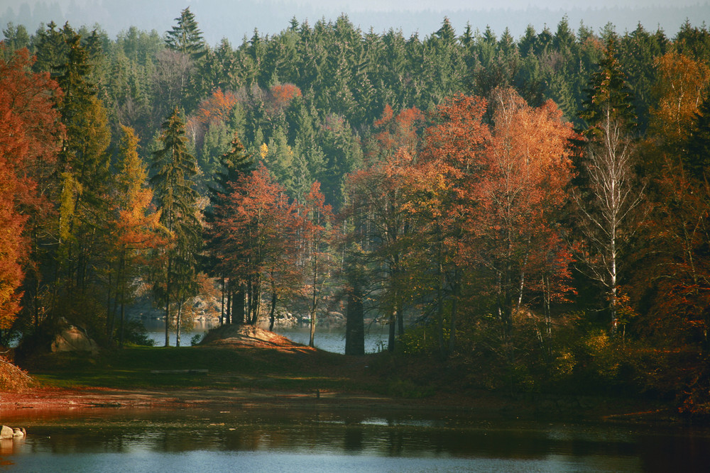 Mitten im Waldviertel