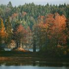 Mitten im Waldviertel