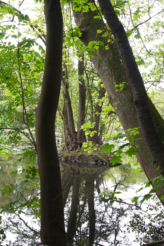 "Mitten im Wasser..."