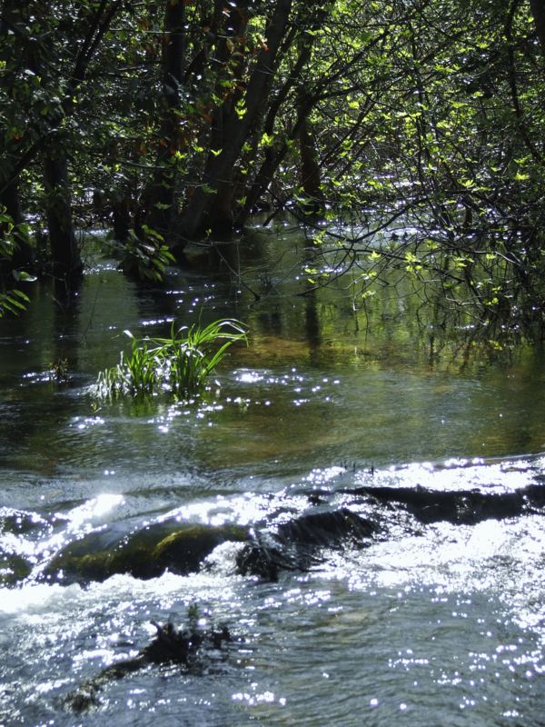 Mitten im Wasser