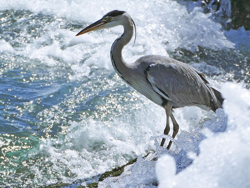 mitten im Wasser