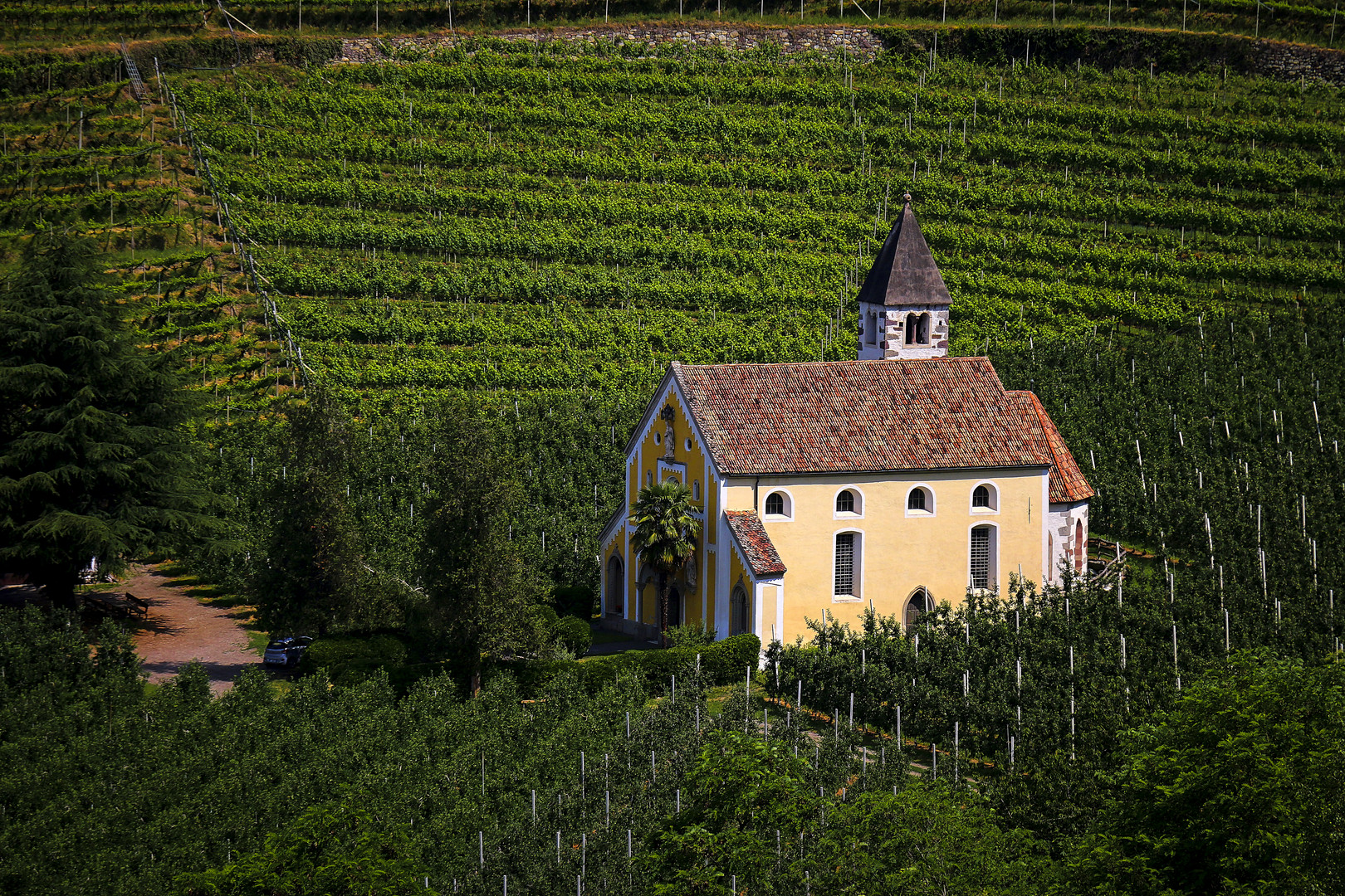 mitten im Weinberg