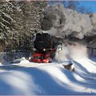 Mitten im Winter fährt diese Bahn nach Plan ...