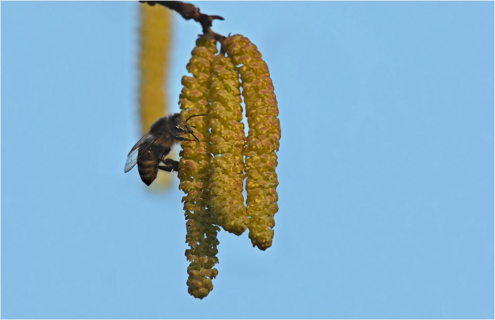 Mitten im Winter