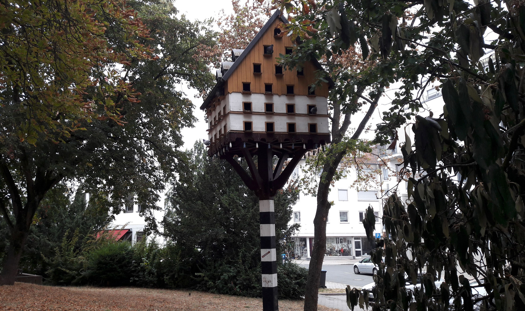 Mitten in Bayreuth :  Taubenhaus am Roten Main