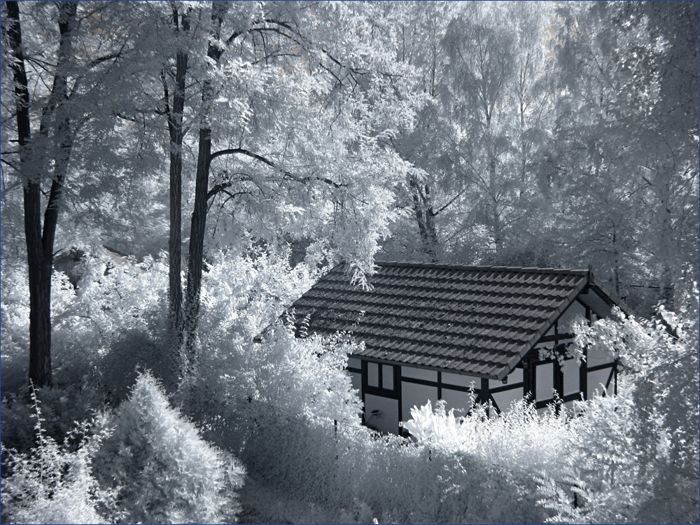 Mitten in Berlin (Zehlendorf)...............Berlin in IR