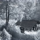 Mitten in Berlin (Zehlendorf)...............Berlin in IR