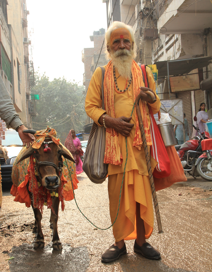 mitten in Delhi