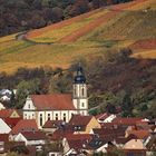 Mitten in den bunten Weinbergen