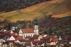 Mitten in den bunten Weinbergen