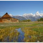 Mitten in den Tetons