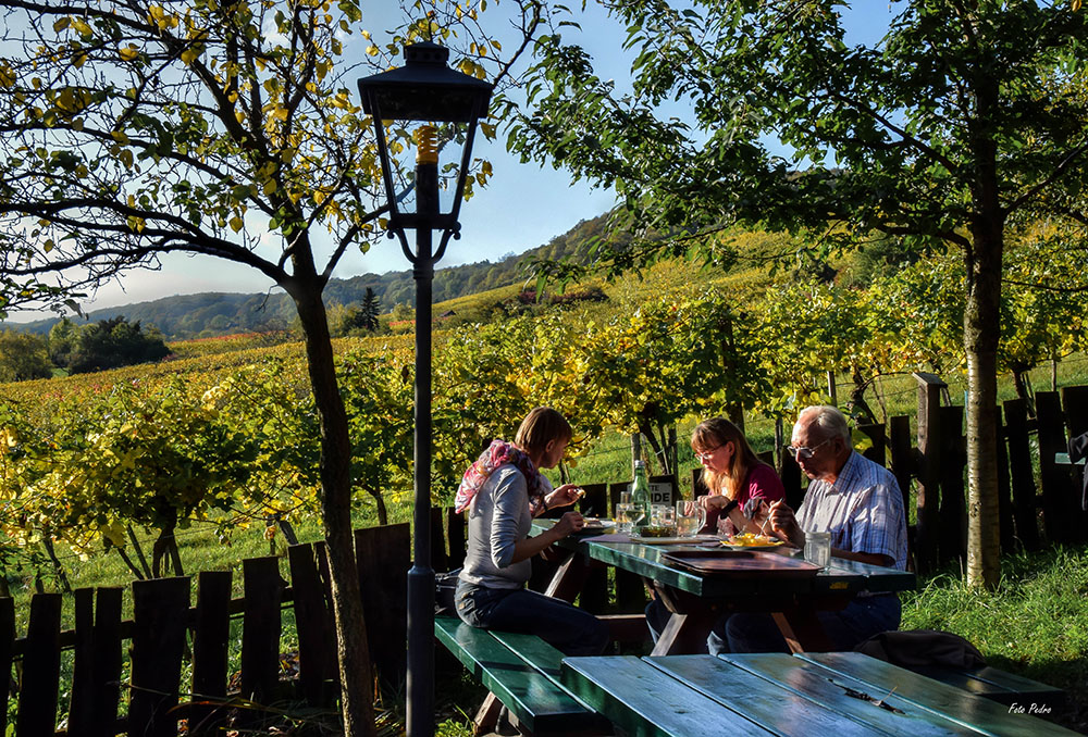 Mitten in den Weinbergen...