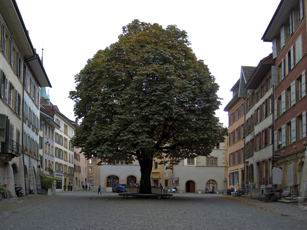 mitten in der Altstadt