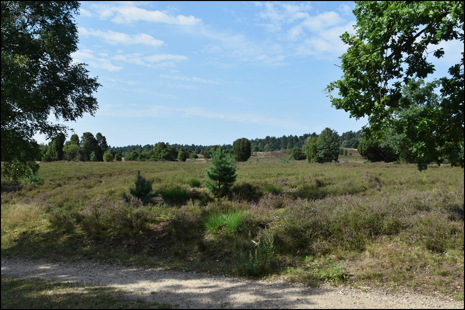 Mitten in der Heide...