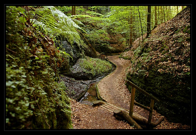 Mitten in der Landgrafenschlucht...