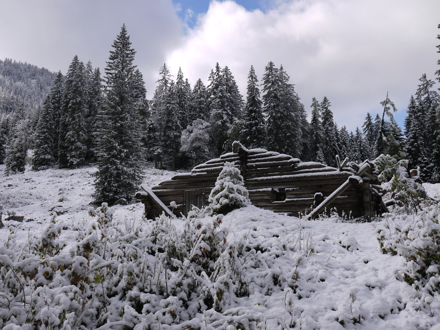 Mitten in der Natur