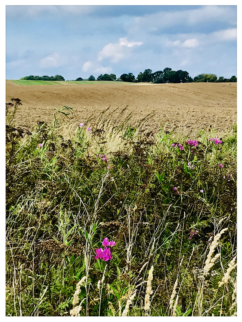 Mitten in der Natur