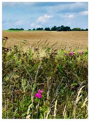 Mitten in der Natur