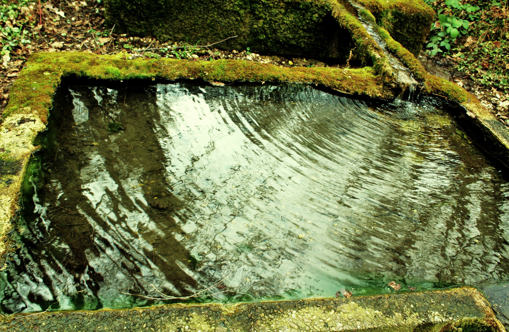 Mitten in der Natur